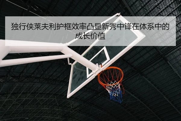 独行侠莱夫利护框效率凸显新秀中锋在体系中的成长价值